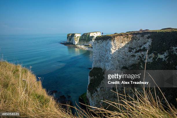 a woman looks out at old harry rocks at studland bay in dorset on the jurassic coast, unesco world heritage site, dorset, england, united kingdom, europe - スタッドランド湾 ストックフォトと画像