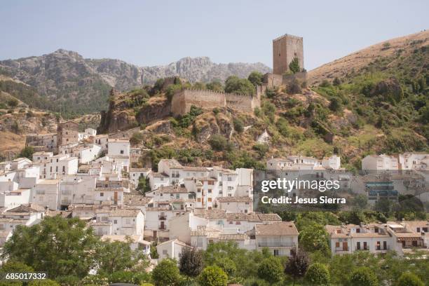 yedra castle. cazorla. jaén province. andalusia. spain. - cazorla stock pictures, royalty-free photos & images