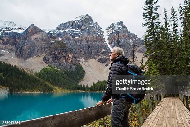 caucasian man standing on boardwalk admiring mountain - lago louise foto e immagini stock