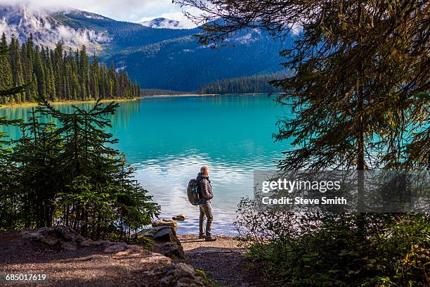 caucasian man standing at mountain lake - lake louise ストックフォトと画像