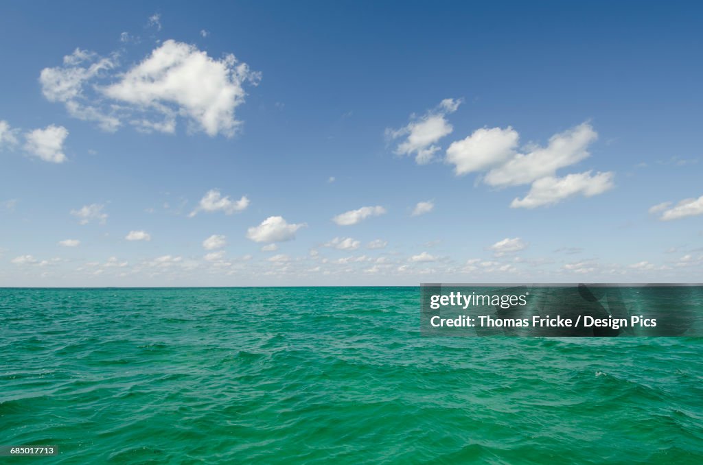 Green ocean water