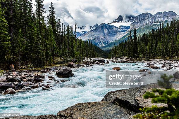 river rapids flowing near mountain - montagne rocciose foto e immagini stock