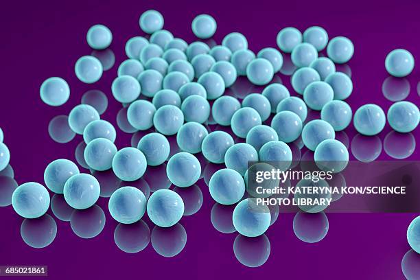 staphylococci bacteria, illustration - staphylococcus aureus stock illustrations