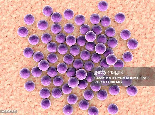 staphylococci bacteria, illustration - mrsa stock illustrations