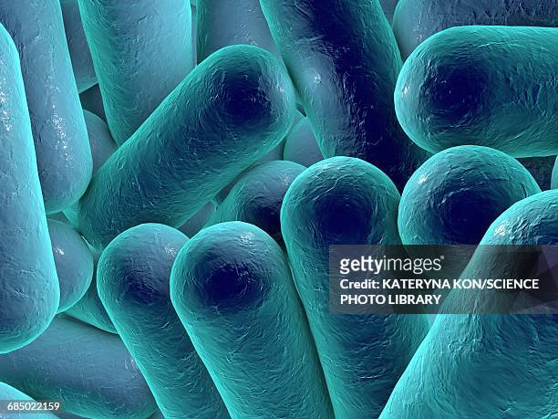 rod-shaped bacteria, illustration - legionella stock-grafiken, -clipart, -cartoons und -symbole