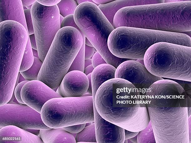 rod-shaped bacteria, illustration - shigella stock illustrations