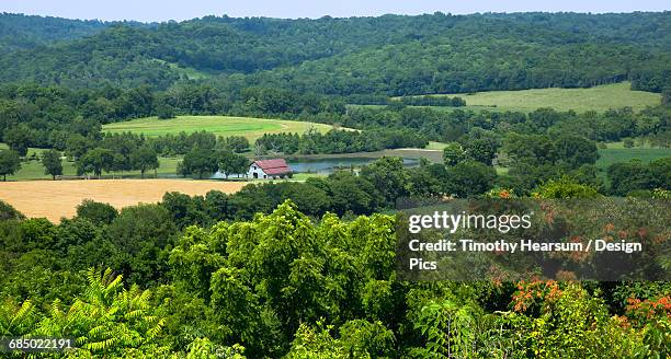 overview of a scenic farm in early summer as seen from the natchez trace parkway near fall hollows - natchez trace parkway stock pictures, royalty-free photos & images