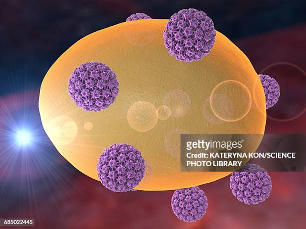 human papilloma viruses, illustration - human papilloma virus点のイラスト素材／ク��リップアート素材／マンガ素材／アイコン素材