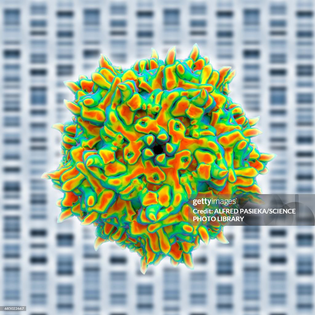 Adeno-associated virus, illustration
