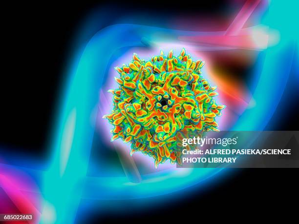 adeno-associated virus, illustration - adenovirus stock-grafiken, -clipart, -cartoons und -symbole