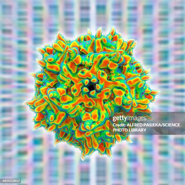 ilustrações de stock, clip art, desenhos animados e ícones de adeno-associated virus, illustration - adenovírus