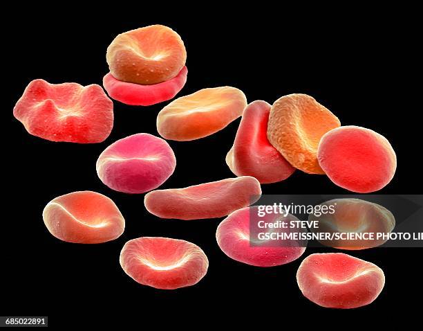 red blood cells, sem - hemoglobin stock pictures, royalty-free photos & images