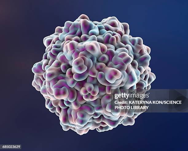 human bocavirus, illustration - flood damage stock illustrations