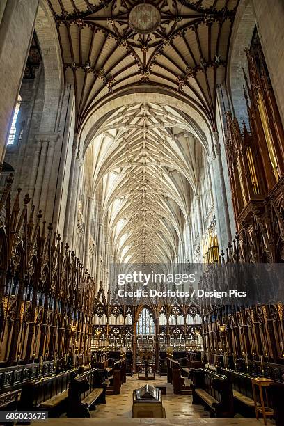 winchester cathedral - winchester cathedral stock pictures, royalty-free photos & images