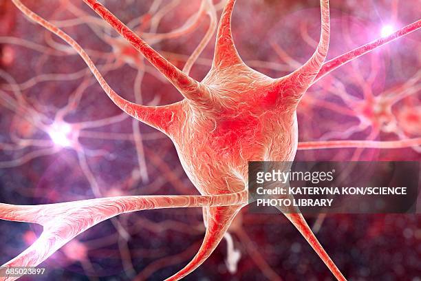 nerve cells, illustration - body concern stock illustrations