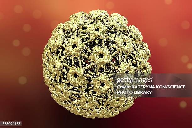 human papilloma virus, illustration - human papilloma virus stock illustrations