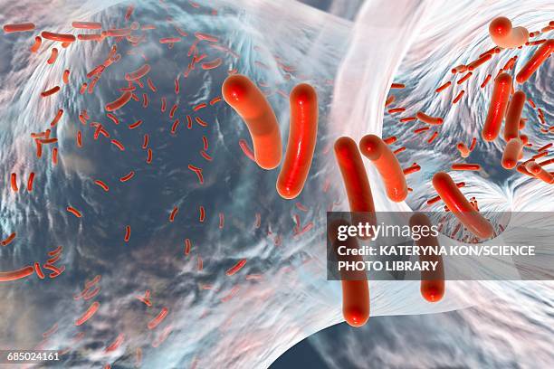 rod-shaped bacteria, illustration - shigella stock illustrations