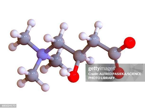 l-carnitine food supplement molecule - chemical formula stock illustrations