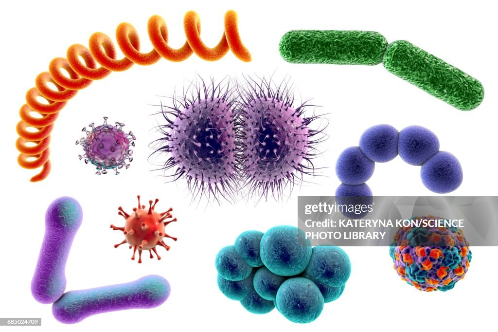 Microbes, illustration