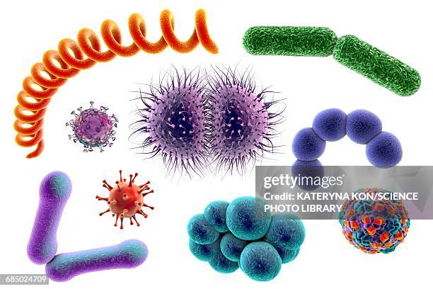 illustrazioni stock, clip art, cartoni animati e icone di tendenza di microbes, illustration - bacteria