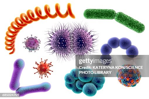 Microbes, illustration Microbes, illustration