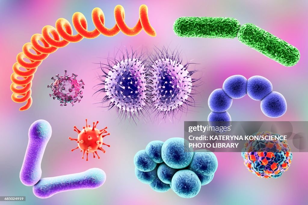 Microbes, illustration