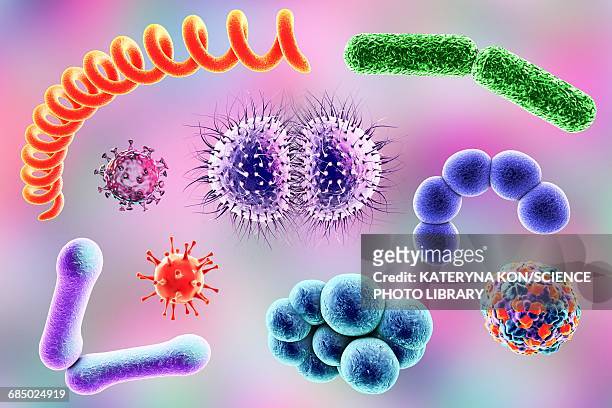 microbes, illustration - klebsiella stock illustrations