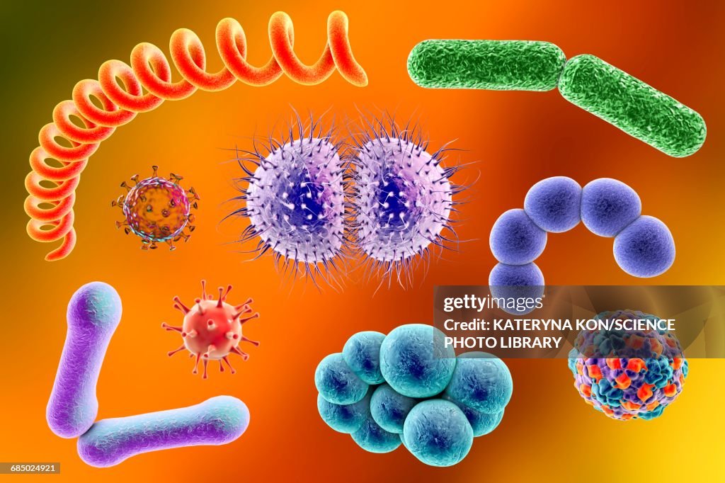Microbes, illustration