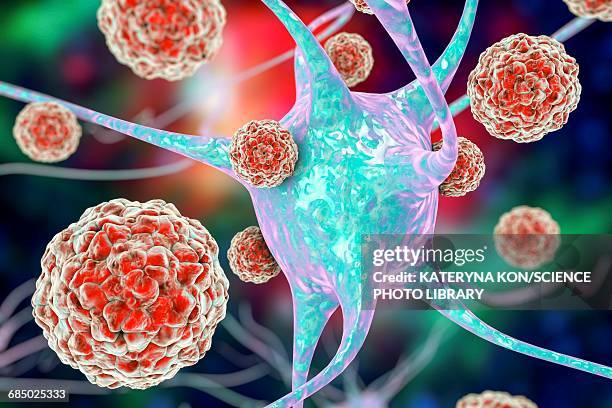 enteroviruses and neuron, illustration - meningitis stock-grafiken, -clipart, -cartoons und -symbole