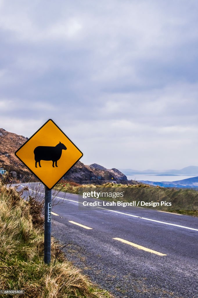 Sheep crossing sign along the Ring of Kerry