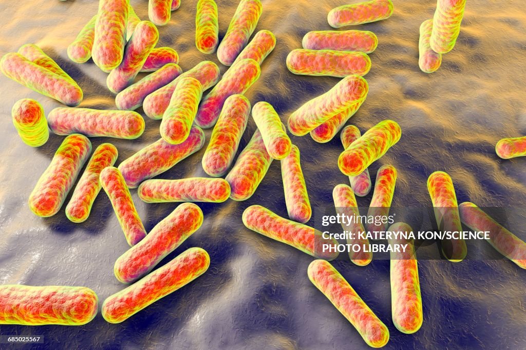 Propionibacterium bacteria, illustration