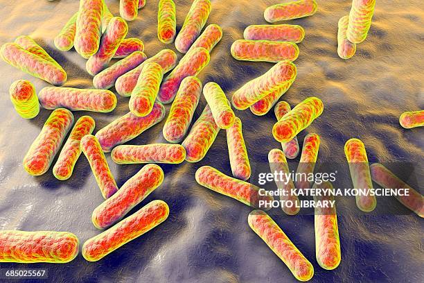 propionibacterium bacteria, illustration - gram positive bacteria 幅插畫檔、美工圖案、卡通及圖標