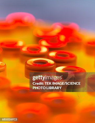 DNA testing DNA testing