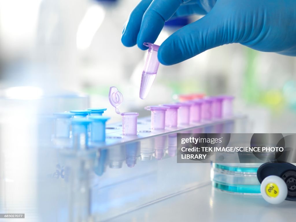 Biomedical research