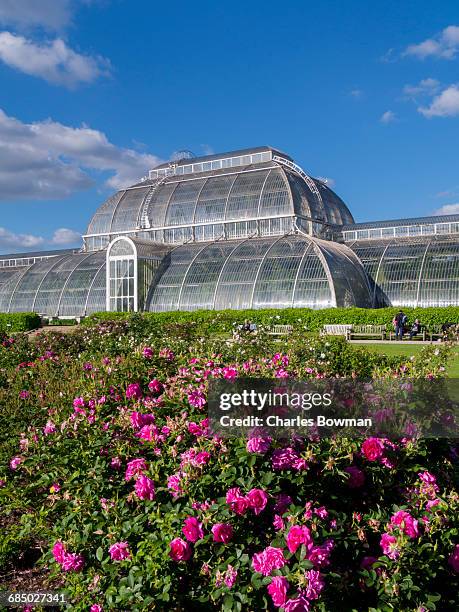 palm house in kew gardens in summer, royal botanic gardens, unesco world heritage site, kew, greater london, england, united kingdom, europe - kew gardens stock pictures, royalty-free photos & images