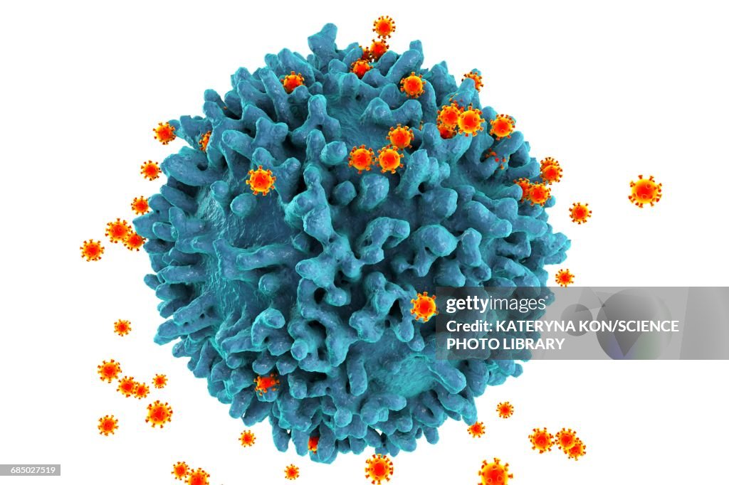 HIV viruses, illustration