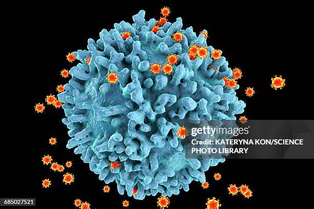 hiv viruses, illustration - t cell stock illustrations