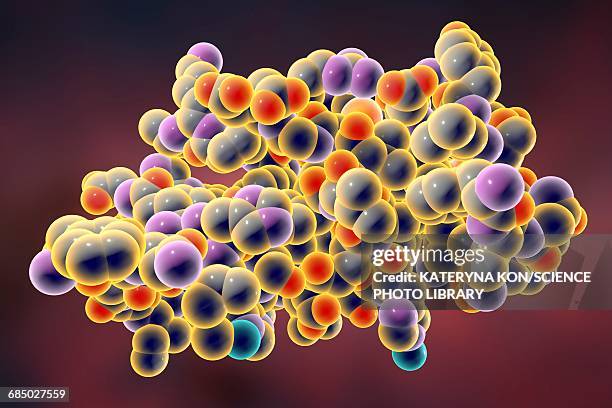 insulin molecule, illustration - insulin molecule stock illustrations