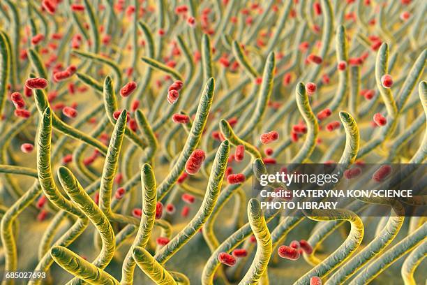 klebsiella pneumoniae, illustration - antibiotikaresistent stock-grafiken, -clipart, -cartoons und -symbole