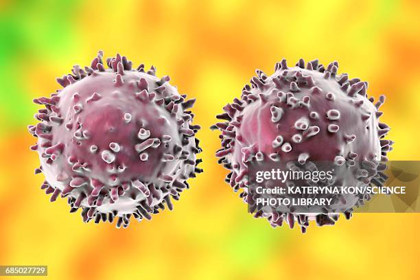 lymphocytes, illustration - digital forensics stock illustrations