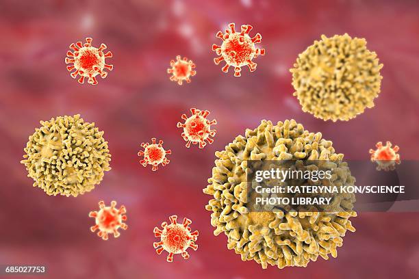 stockillustraties, clipart, cartoons en iconen met lymphocytes, illustration - b cell