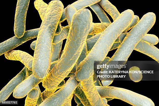 tuberculosis bacteria, illustration - parasiten infektion stock-grafiken, -clipart, -cartoons und -symbole