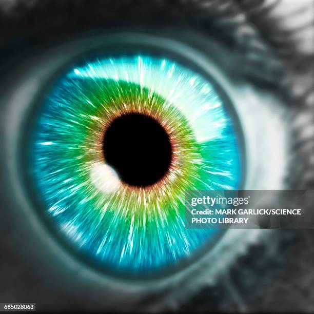 artwork of human eye - blue eyes stock-grafiken, -clipart, -cartoons und -symbole