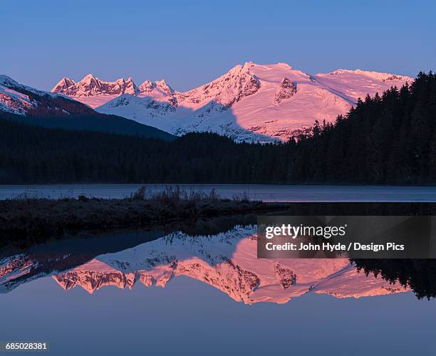 mountains glowing pink at sunrise and silhouetted forest reflected in a tranquil lake - alpenglow stock-fotos und bilder