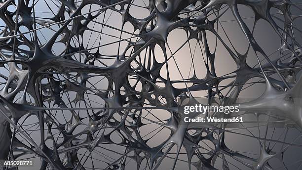 Complex Meshwork Meshwork Photos and Premium High Res Pictures - Getty Images