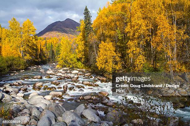 little susitna river in hatcher pass near palmer, in autumn, south-central alaska - mt susitna stock pictures, royalty-free photos & images