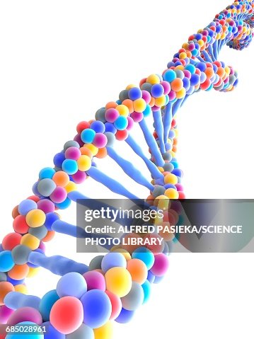DNA molecule, illustration DNA molecule, illustration