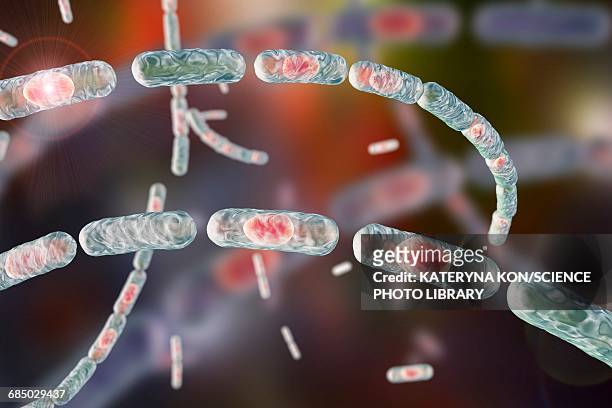 anthrax bacteria, illustration - spore stock illustrations