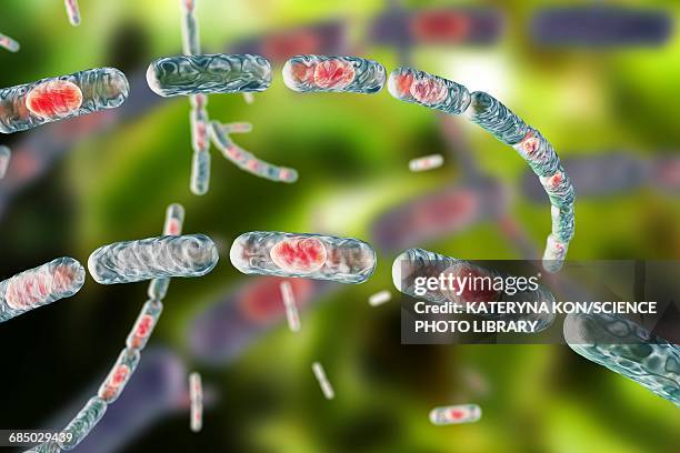 anthrax bacteria, illustration - anne vyalitsyna stock-grafiken, -clipart, -cartoons und -symbole