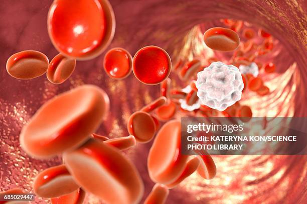 blood cells, illustration - arterioles stock illustrations